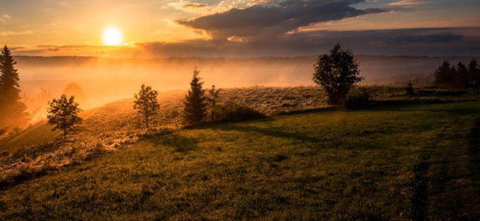 "Multipliant les pains, Jésus se manifeste comme le Prophète" (Mc 6, 34-44)