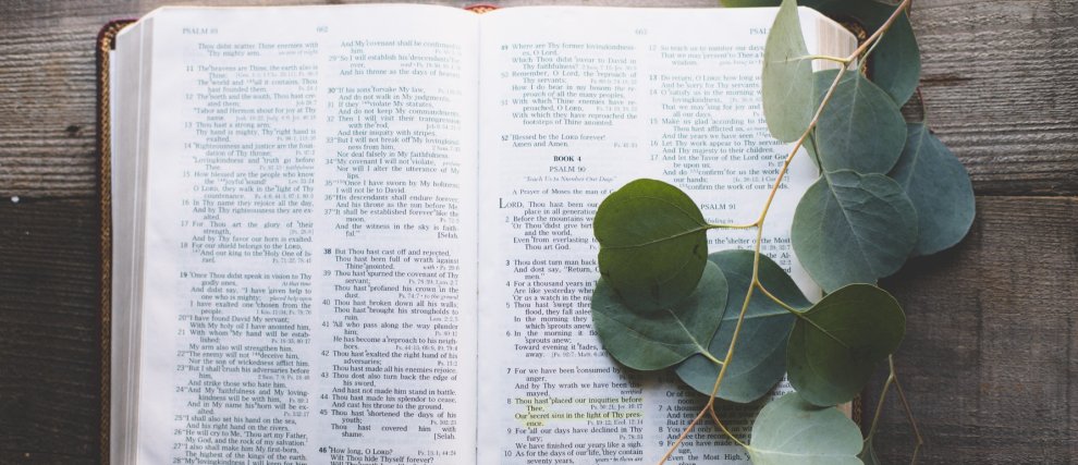 Reading & Meditation of the Daily Gospel