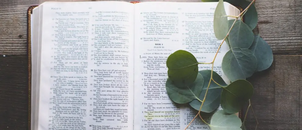 Reading & Meditation of the Daily Gospel