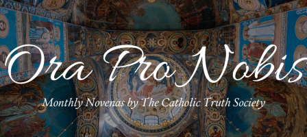 Ora Pro Nobis: Monthly Novenas