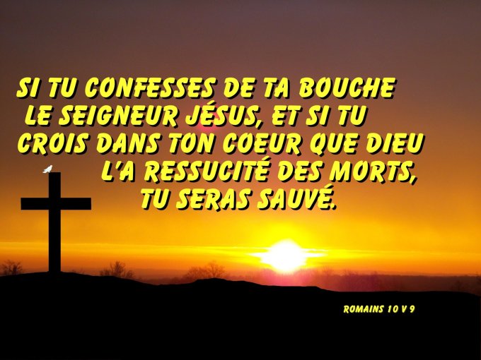 Image de la publication