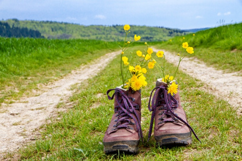 randonnee chaussures fleurs