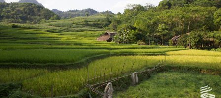 Prions pour les Chrétiens du Vietnam, persécutés.