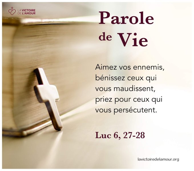 Image de la publication