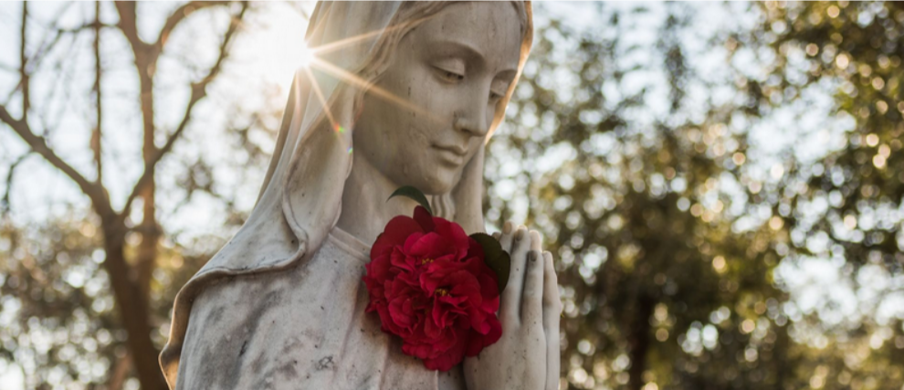 1 año acompañando a la Virgen María