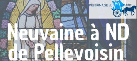 Neuvaine à Notre-Dame de Pellevoisin - M de Marie