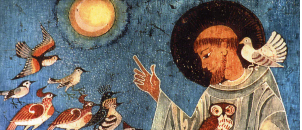 9 días para una vida armoniosa con San Francisco de Asís