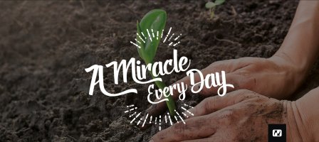 131978-a-miracle-every-day!448x200