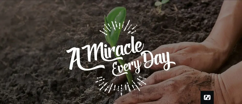 A Miracle Every Day
