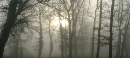 Prions pour Les parents délaissés par leurs enfants.