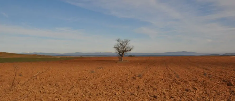  Prions pour les personnes seules à travers la Bible