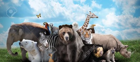 Prions pour Pour tous les êtres, hommes et animaux qui souffre