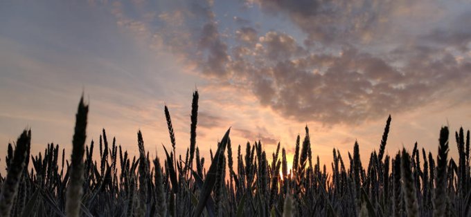 "Qu'ils deviennent parfaitement un" (Jn 17, 20-26)