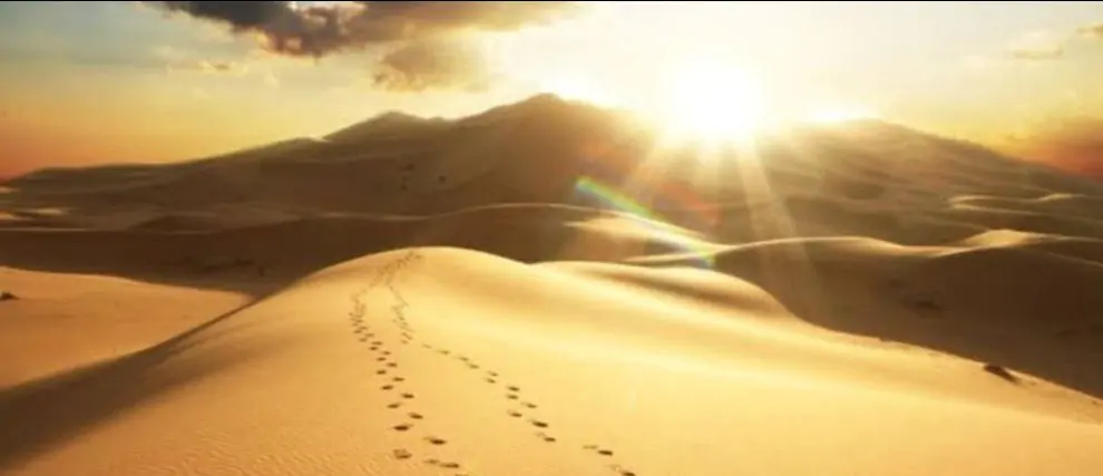 Cuaresma: un camino con Jesús