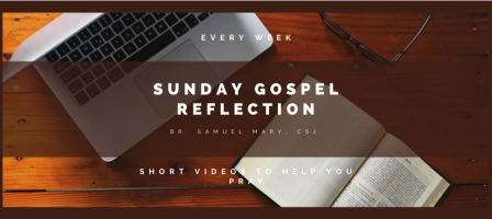 Sunday Gospel Reflection with Br. Samuel Mary, csj.