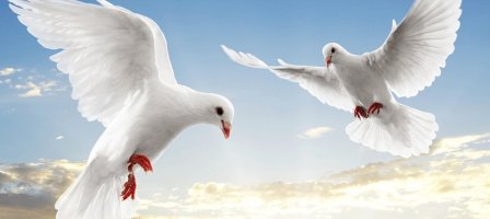 Prions pour la Paix dans le monde