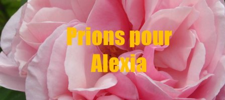 Prions pour Alexia, jeune fille portée disparue à Oléron