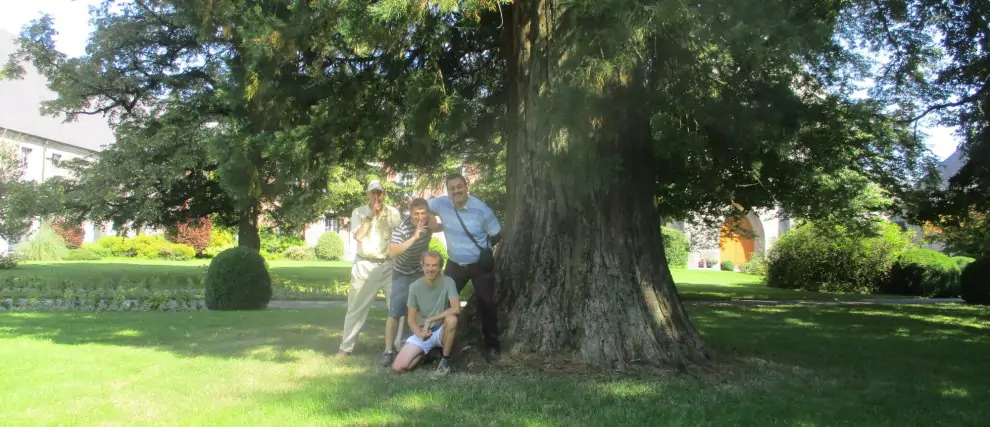 Approfondir la lectio divina lors d'une retraite en Belgique