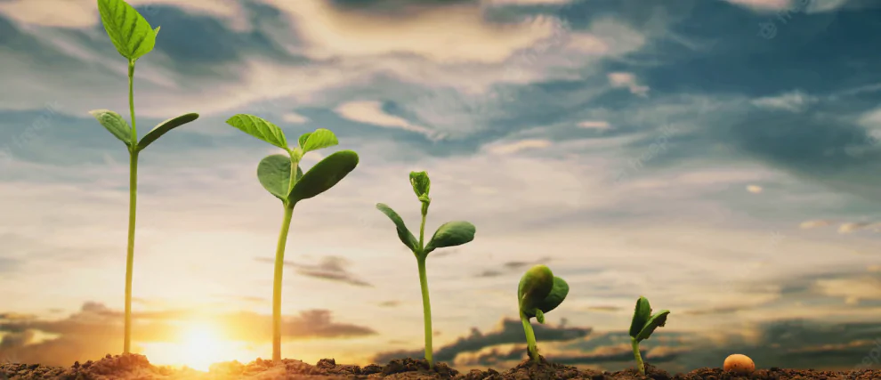 ¡Cultiva una Esperanza que transforma!