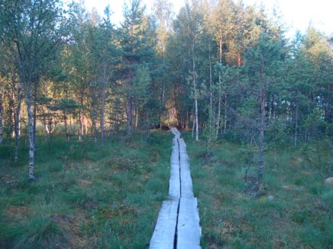 Image de la publication