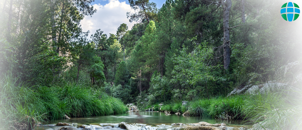 Retiro Laudato Si': Cuidar da criação de Deus