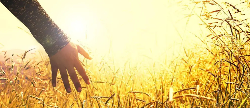 6 dias para pedir a paz interior