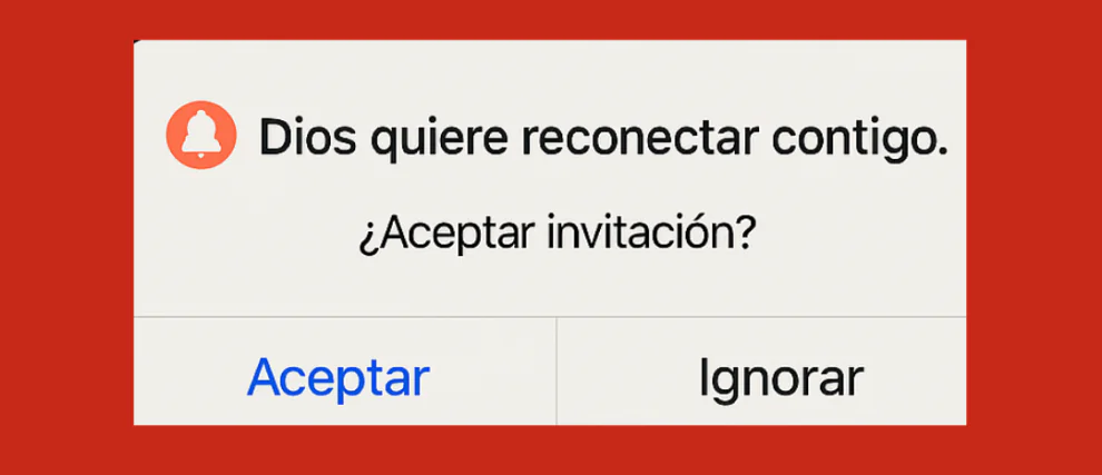 RESET FE