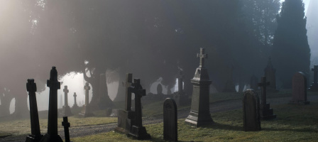 Image of the community