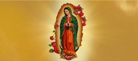 Imagen principal de la comunidad