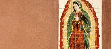 Image of the community