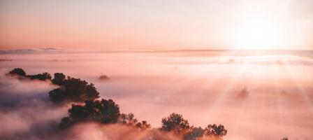 Image de la communauté