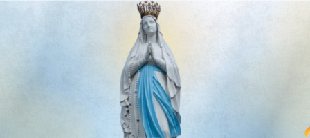 Image of the community