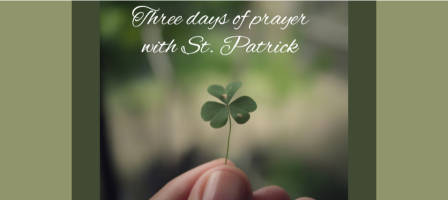 Image of the community