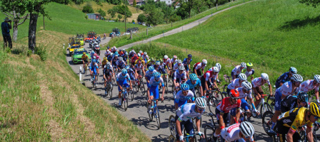 Image de la communauté