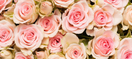 Image de la communauté