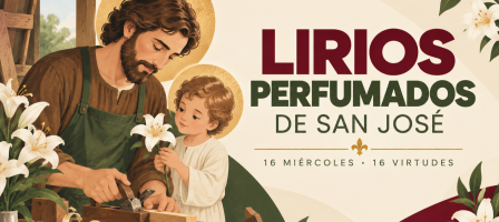 Imagen principal de la comunidad