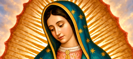 Imagen principal de la comunidad
