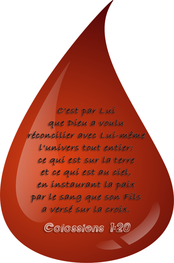 Image de la publication