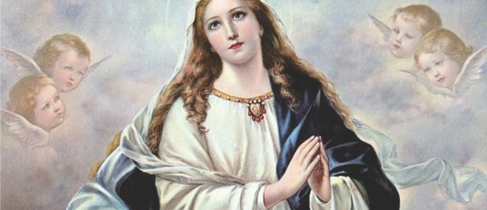 Novena da Imaculada Conceição: aprenda a dizer SIM com Maria