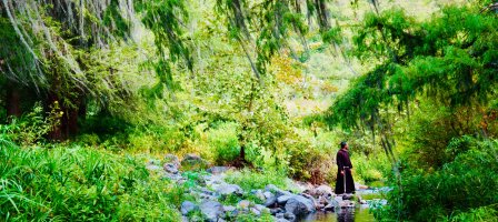 Carême 2019 avec Laudato si’ !