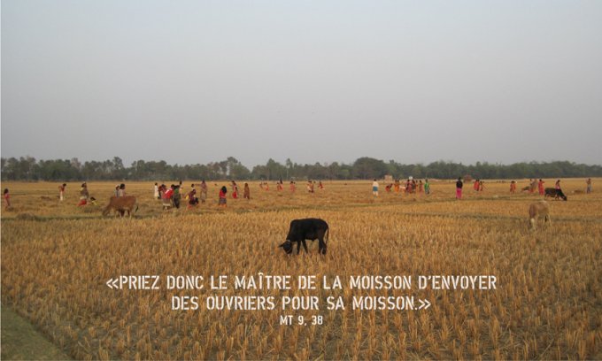 Image de la publication