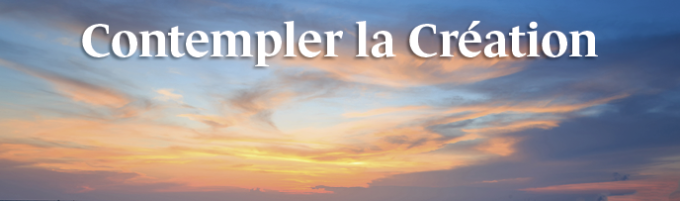 Semaine 2 - Contempler la création