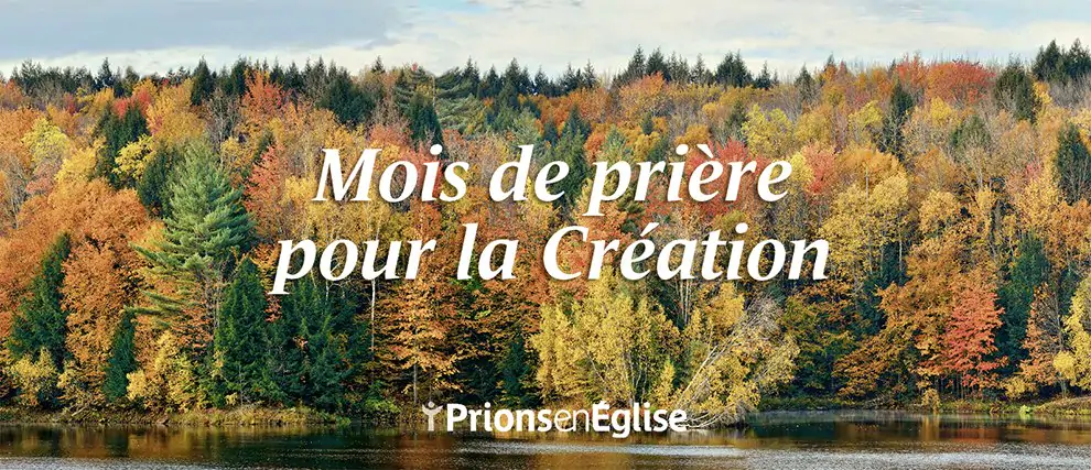 6 semaines pour la Création !