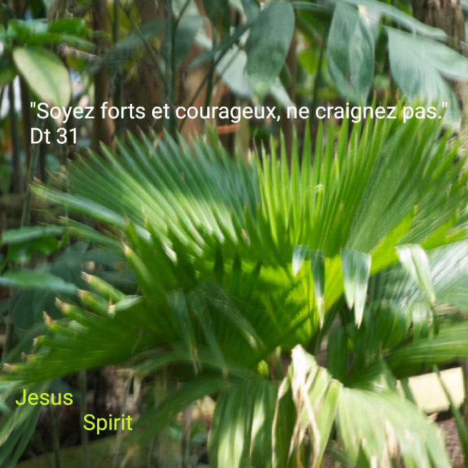 Soyez forts et courageux, ne craignez pas !