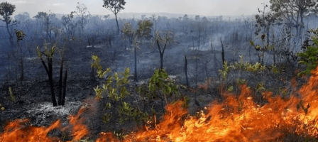 Oração pela Amazônia