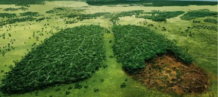 ¡Oremos por la creación! #PrayForAmazonia