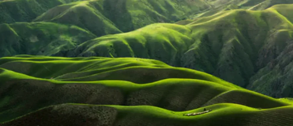 Month for God's creation