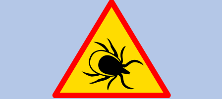 Prions pour les personnes atteintes par la maladie de Lyme
